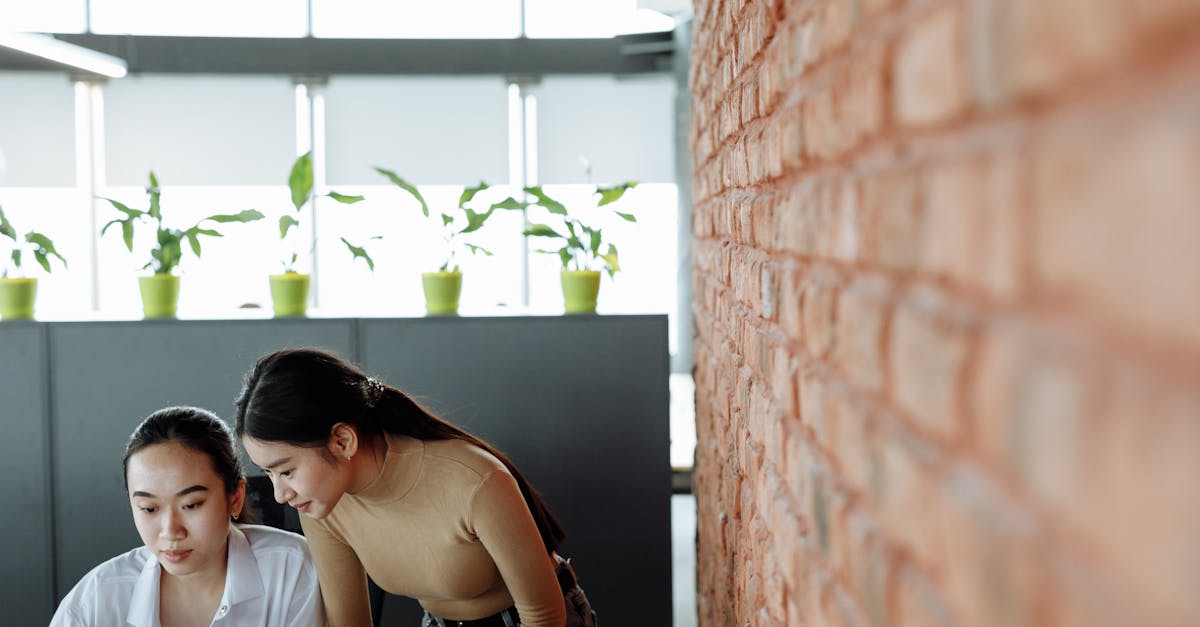 WX老号发卡网:美橙互联代理平台